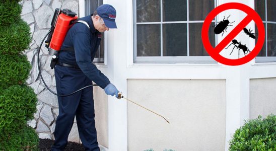 Pazarcık Kene İlaçlama böcek ilaçlama ve haşere kontrolü — ilaclama-tr.com